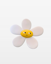 Load image into Gallery viewer, Little D